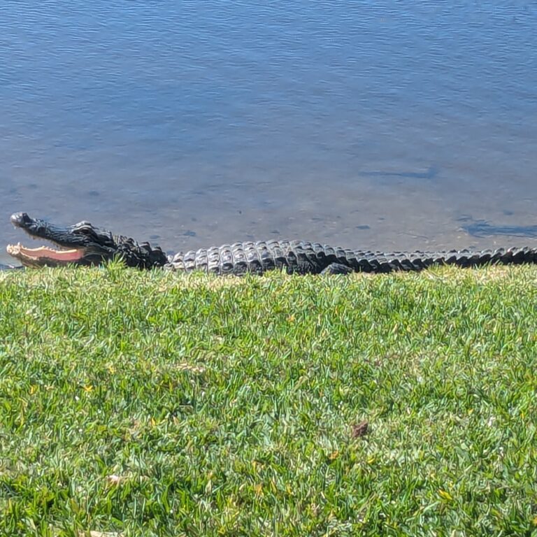 Lake Okeechobee